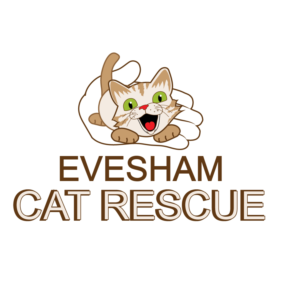 Logo Design by Archaeologo