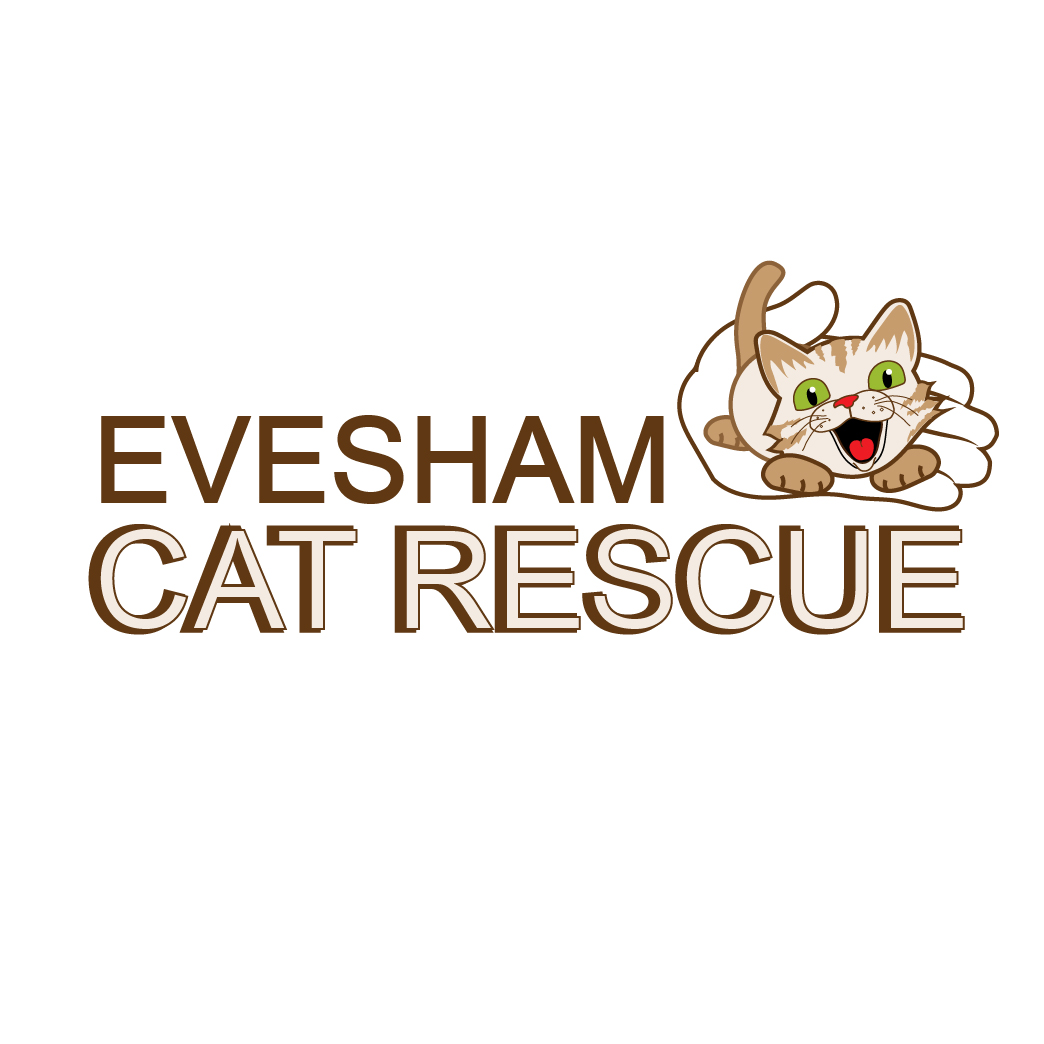 Logo Design by Archaeologo for Weddings and Events LTD | Design #18791149