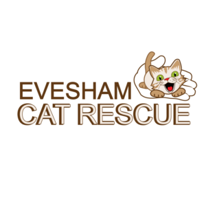 Logo Design by Archaeologo for Weddings and Events LTD | Design: #18791149