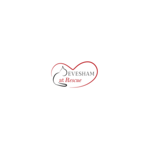 Diseño de Logo por MostCreative para Weddings and Events LTD | Diseño #18755305
