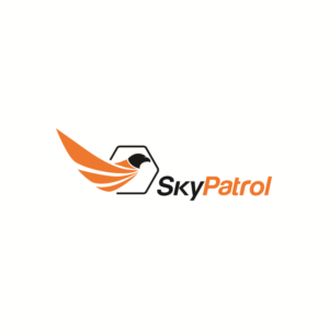 Design de Logo par Maulana 2023 pour SKYDRONES TECNOLOGIA AVIONICA S/A | Design : #18713127