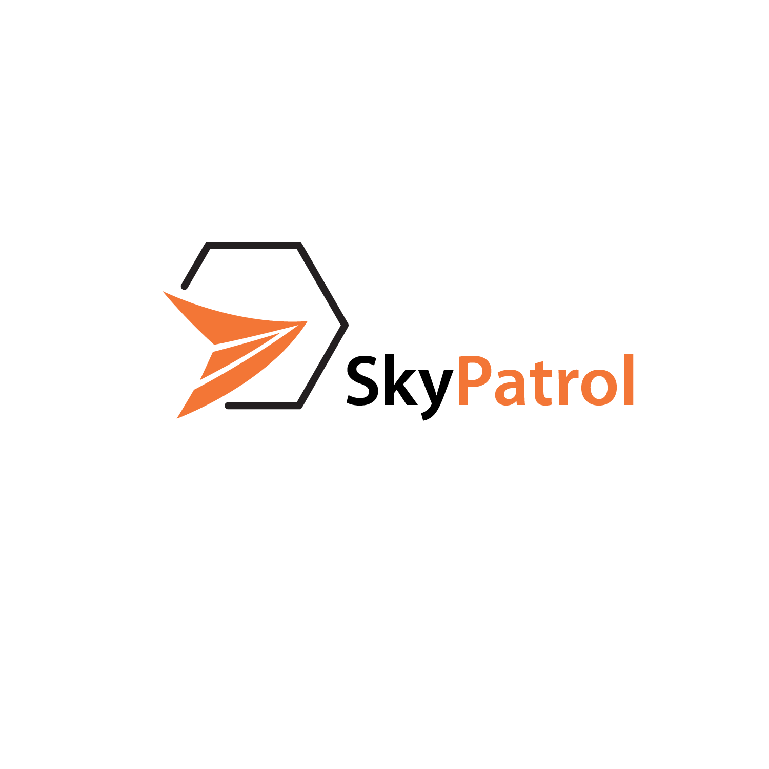 Logo Design by kinan3 for SKYDRONES TECNOLOGIA AVIONICA S/A | Design #18686867