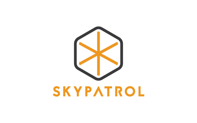 Logo Design by ilovedesign1 for SKYDRONES TECNOLOGIA AVIONICA S/A | Design #18689958