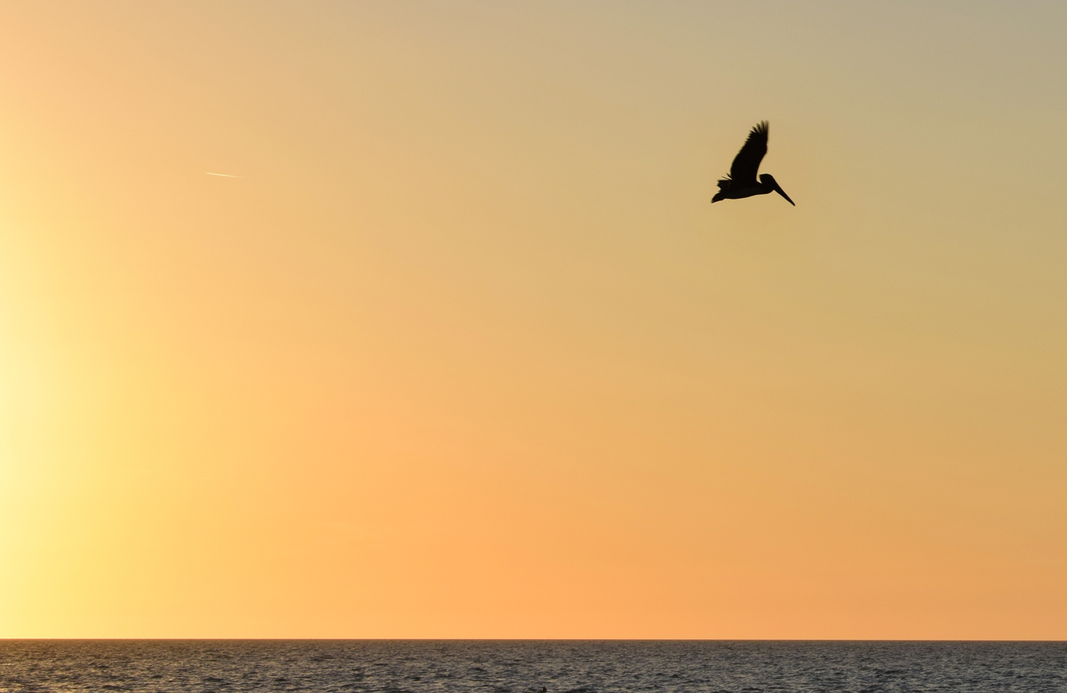 Photography by Larah McElroy for DesignCrowd (Community Contests) | Design #18729422