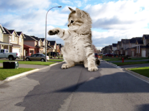 Photoshop Design by frshark