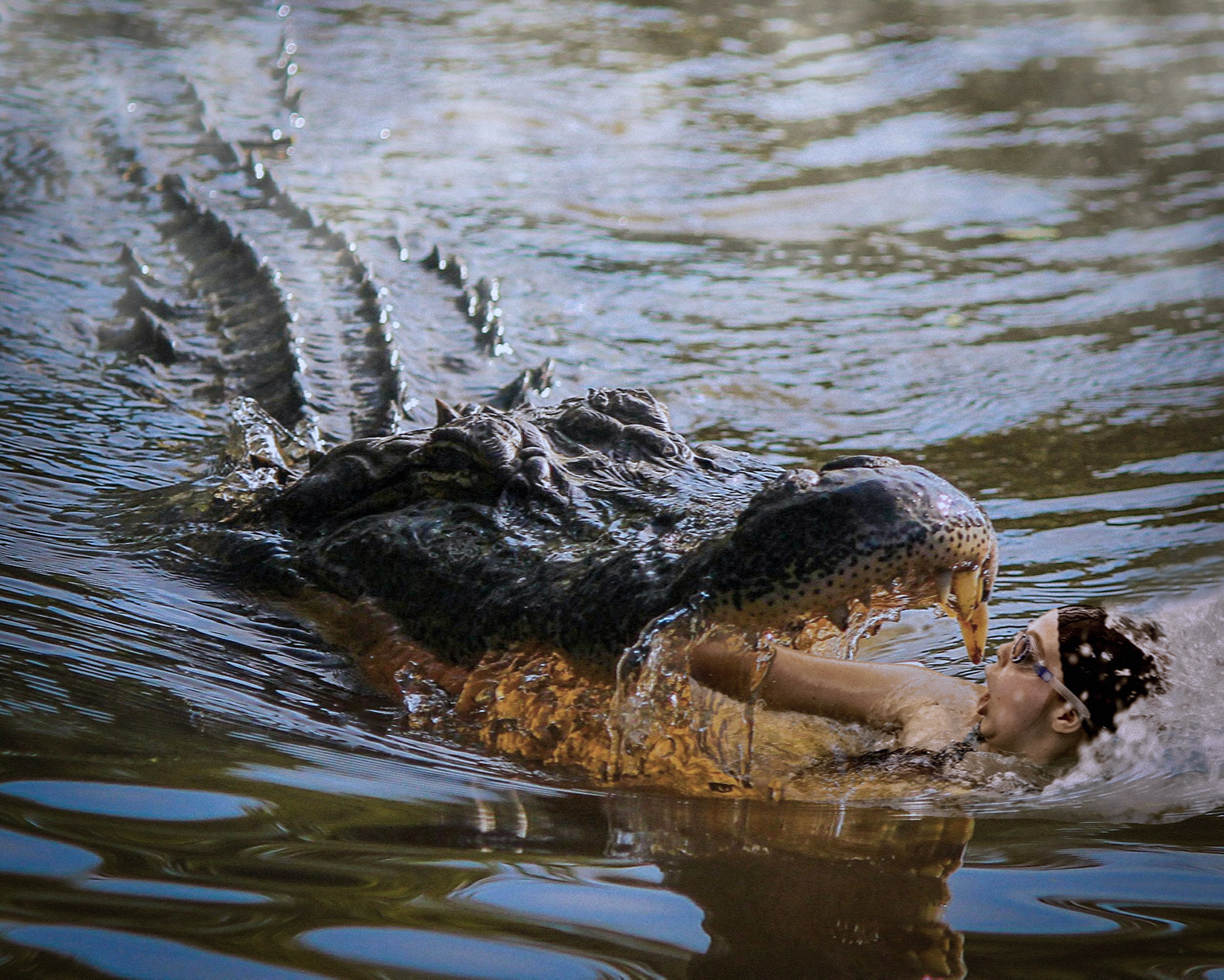 Photoshop Design by Manson Nellum for DesignCrowd (Community Contests) | Design #18798561