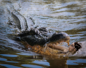 Photoshop Design by Manson Nellum