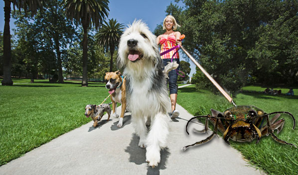 Photoshop Design by Riccardo Gabriele for DesignCrowd (Community Contests) | Design #18785728