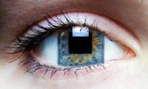 Photoshop Design by frshark