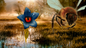 Photoshop Design by Never Art