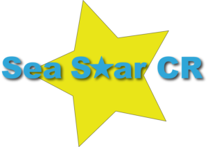 Logo Design by Peter 20
