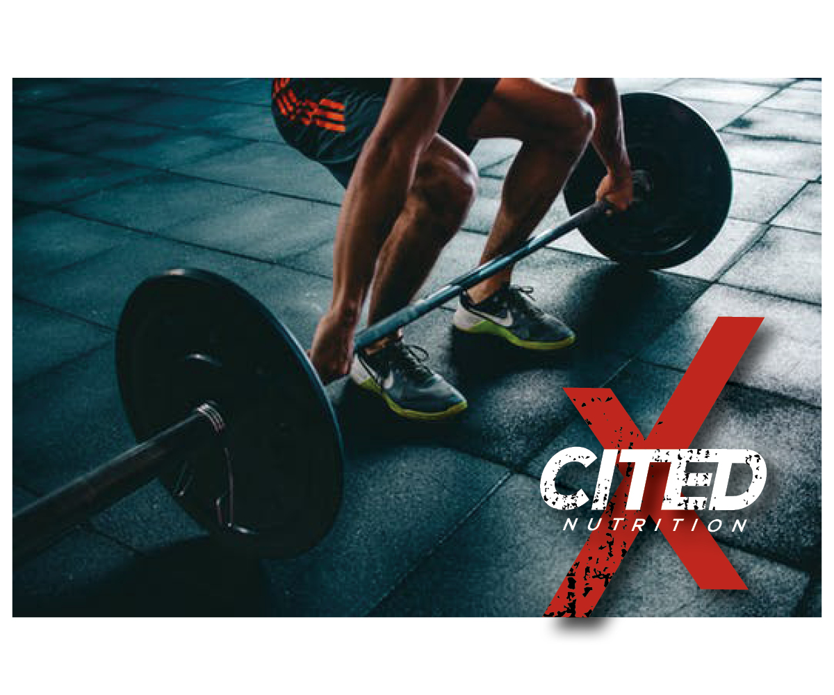 Logo Design by Bittersweet for Xcited Nutrition | Design #18766494