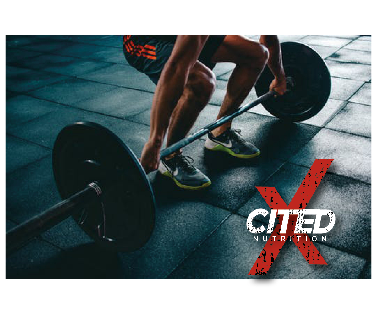 Logo Design by Bittersweet for Xcited Nutrition | Design #18772742