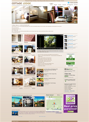 Design Wordpress par Biswajit pour Aeronautes Ltd | Design #2880564