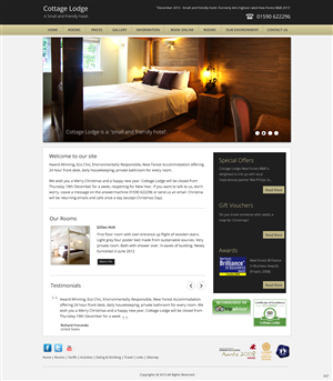 Wordpress Design by pb for Aeronautes Ltd | Design: #2833406