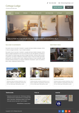 Wordpress Design by pb for Aeronautes Ltd | Design: #2842849