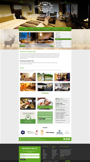 Design Wordpress par Black Stallions Impressive Solutions pour Aeronautes Ltd | Design #2852793