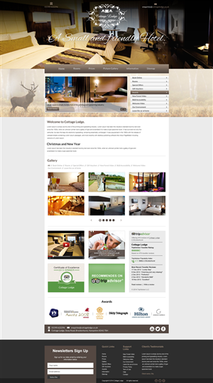 WordPress-Design von Impressive Solutions für Aeronautes Ltd | Design: #2852796
