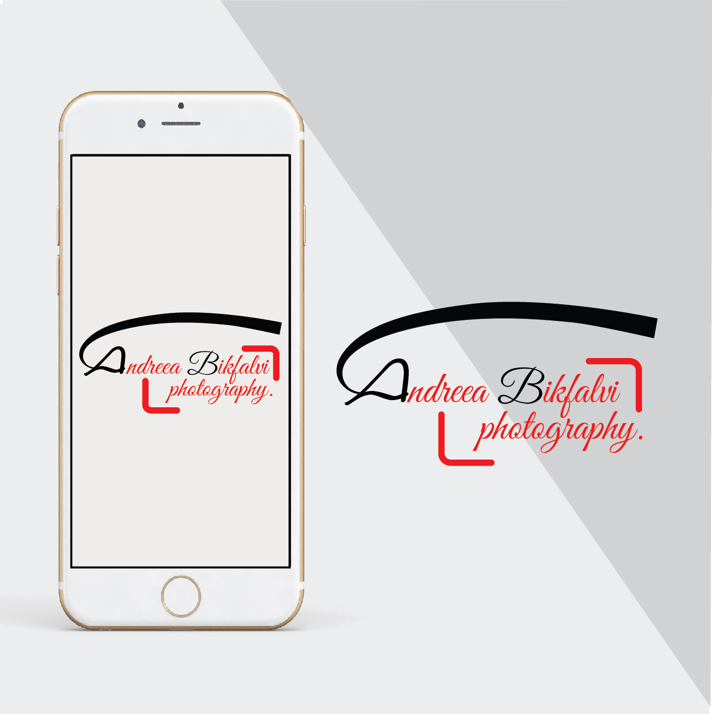 Logo Design by AceDesigns for this project | Design #18826019