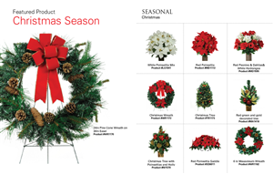 Catalogue Design by Ms Deejay for this project | Design: #2841481