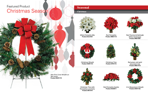 Catalogue Design by Ms Deejay for this project | Design: #2841715