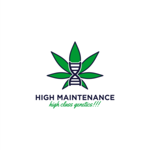 Logo Design by Rookie Design for High Maintance  | Design #18770947