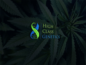 Diseño de Logo por Deziners Zone para High Maintance  | Diseño: #18743674