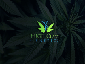 Diseño de Logo por Deziners Zone para High Maintance  | Diseño: #18743695