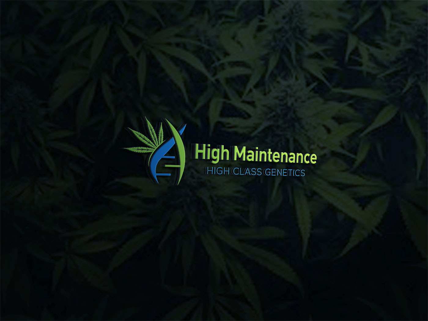Logo Design by Deziners Zone for High Maintance  | Design #18752494