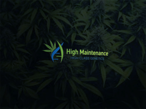 Diseño de Logo por Deziners Zone para High Maintance  | Diseño: #18752494