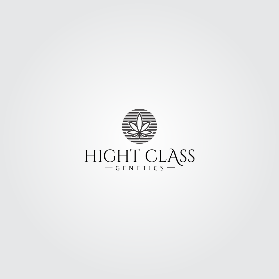 Logo Design by HARIQ for High Maintance  | Design #18744467