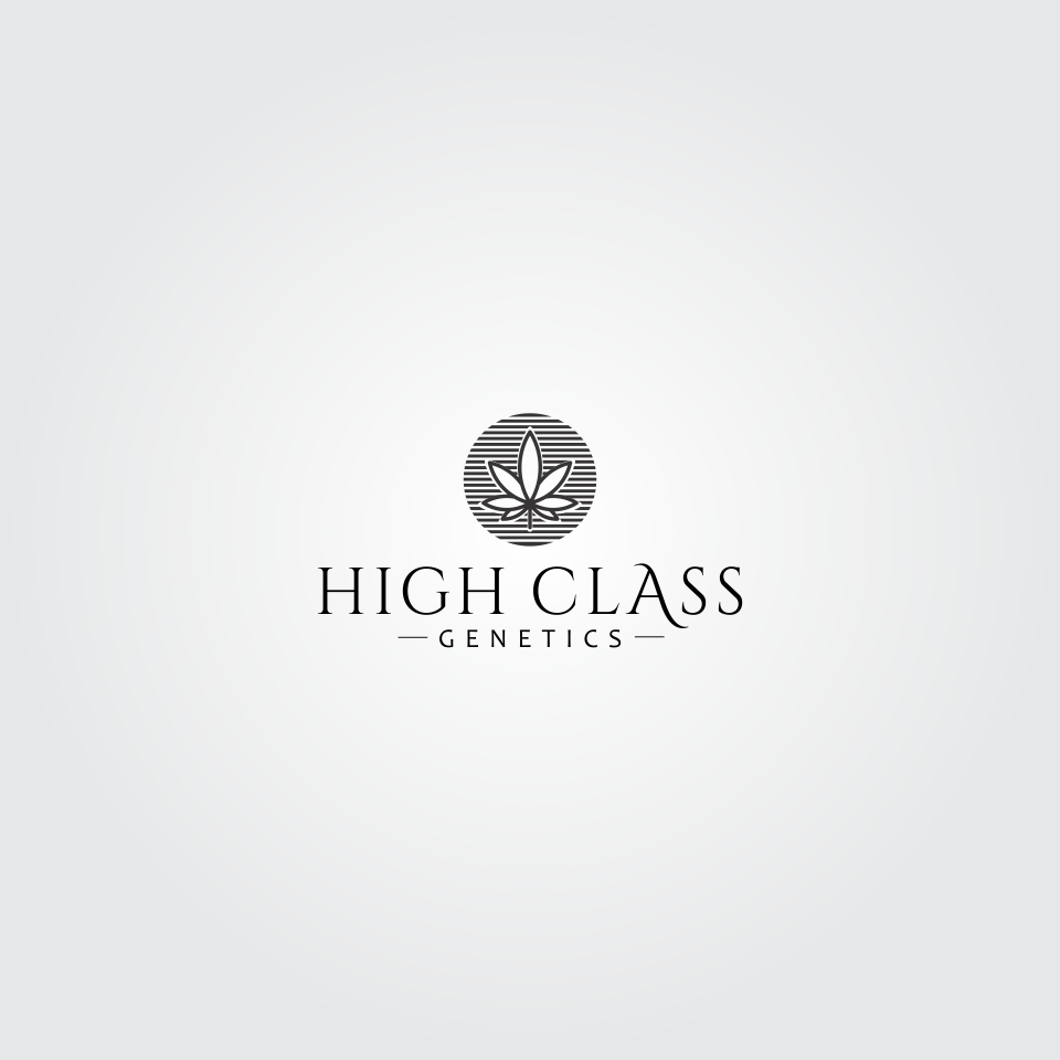 Logo Design by HARIQ for High Maintance  | Design #18744487