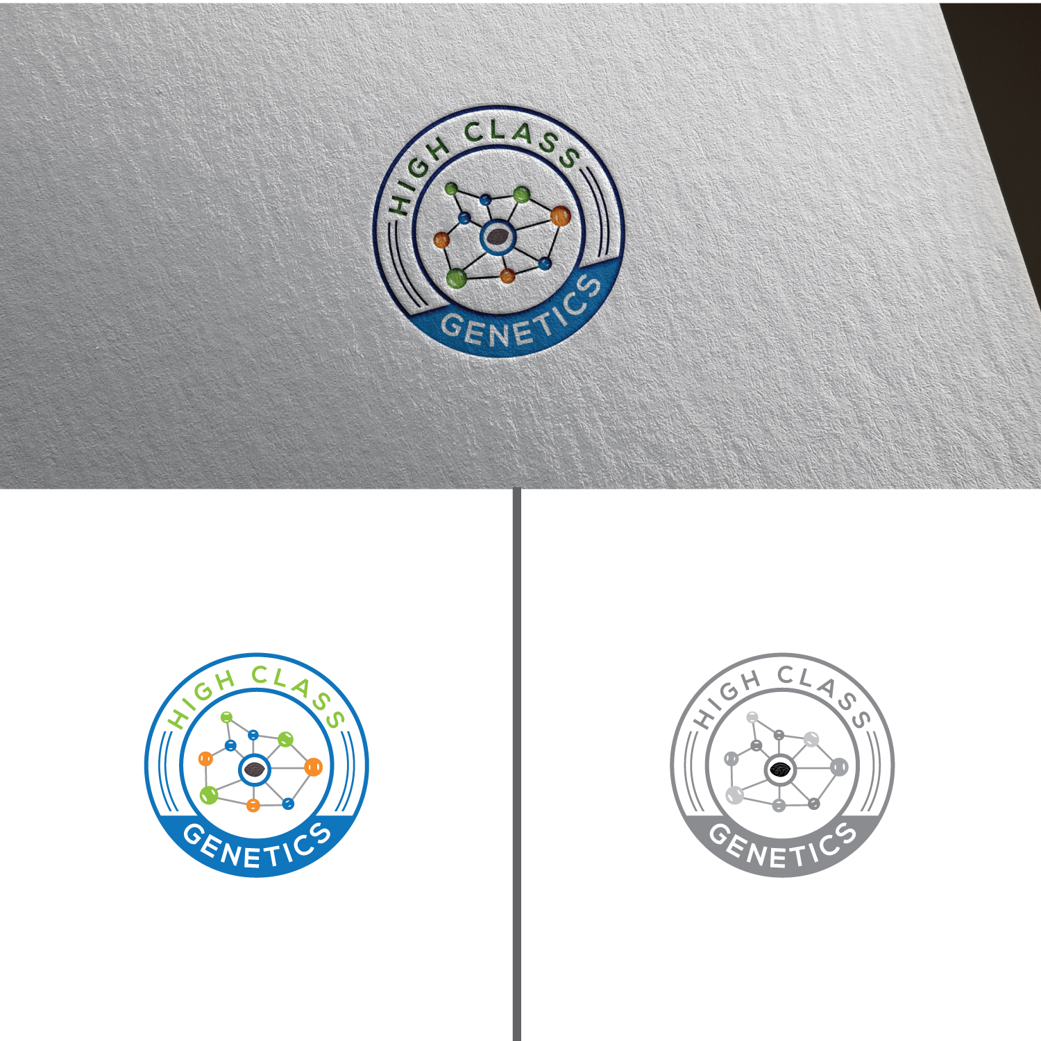 Logo Design by sankar999 for High Maintance  | Design #18744423