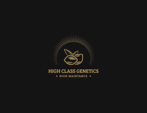 Logo-Design von Muhammad Imran 3 für High Maintance  | Design: #18743652