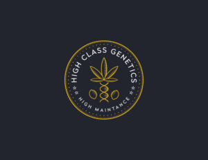 Diseño de Logo por Muhammad Imran 3 para High Maintance  | Diseño: #18743653
