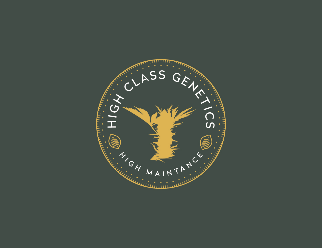 Logo Design by Muhammad Imran 3 for High Maintance  | Design #18743654