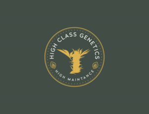 Logo-Design von Muhammad Imran 3 für High Maintance  | Design: #18743654