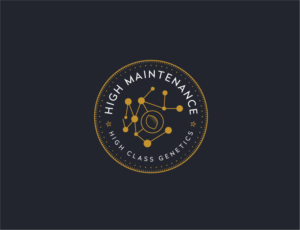 Logo-Design von Muhammad Imran 3 für High Maintance  | Design: #18756713