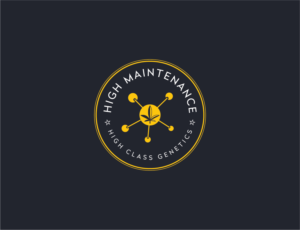 Logo-Design von Muhammad Imran 3 für High Maintance  | Design: #18756715