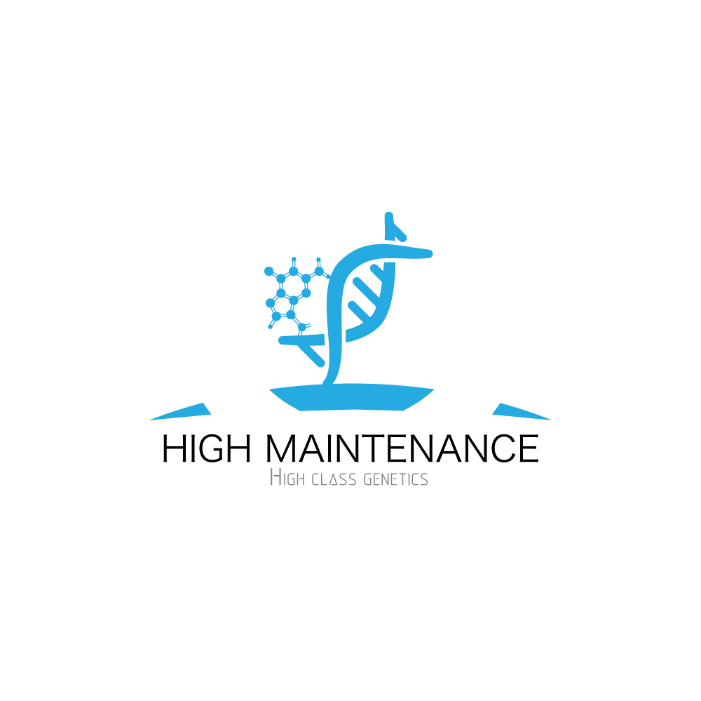 Logo Design by sabahi4u for High Maintance  | Design #18786819