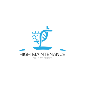 Logo Design by sabahi4u