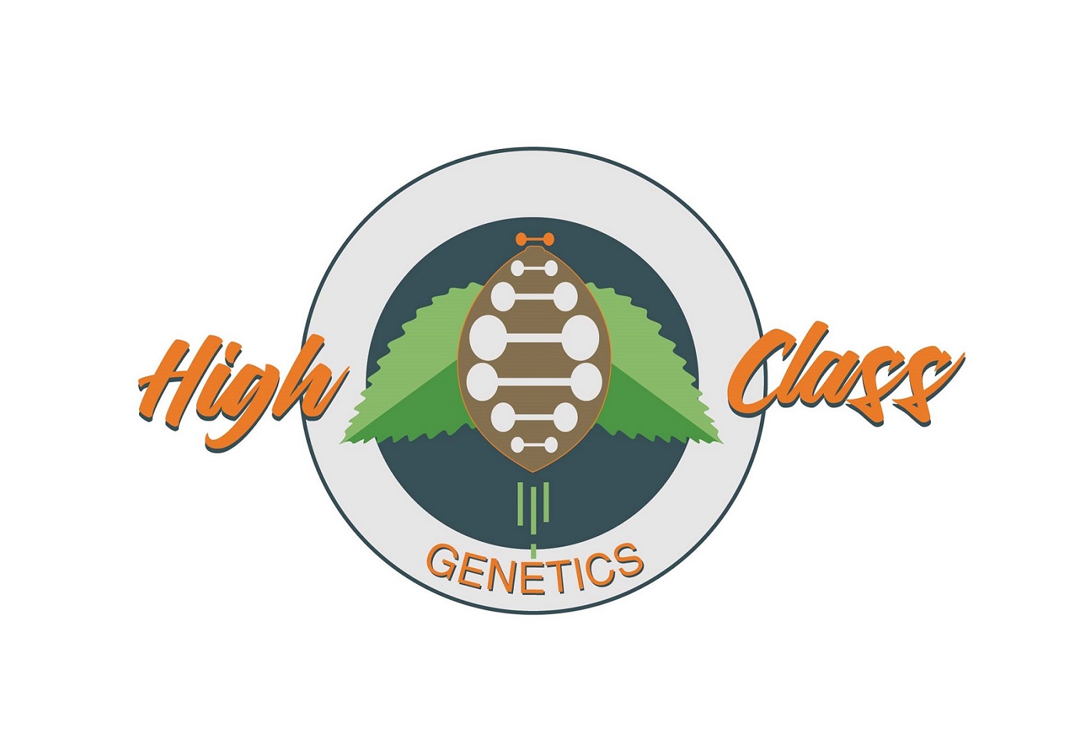 Logo-Design von The Samarian für High Maintance  | Design #18748998