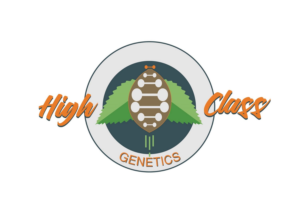 Logo-Design von The Samarian für High Maintance  | Design: #18748998