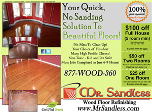 Advertisement Design by HoneysuckleDesigns for Mr. Sandless Inc | Design: #688074