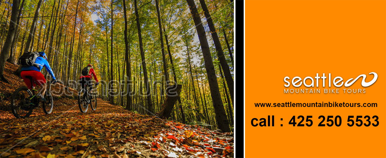 Car Wrap Design by BrainWaves for this project | Design #18795717