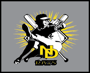 T-shirt Design by Blueeyedcreativ for North Delta Baseball Association | Design #2860584