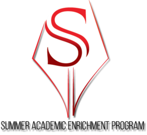 Logo Design by meli