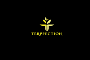 Logo Design by solidinto for this project | Design: #18836862