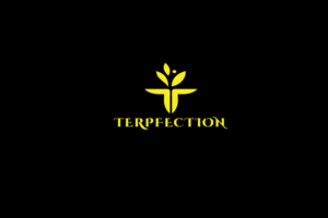 Logo Design by solidinto for this project | Design: #18836863