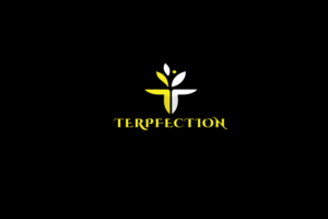 Logo Design by solidinto for this project | Design: #18836864